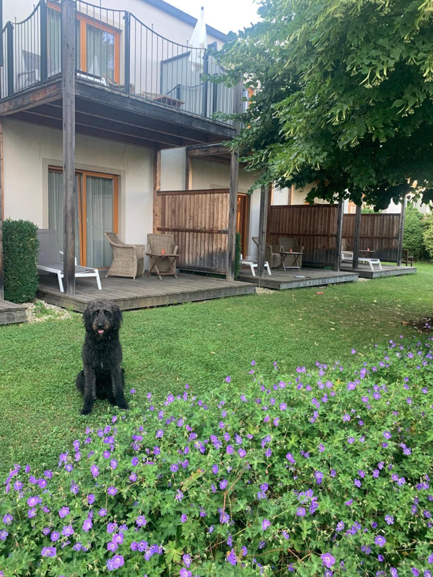 Garten-Hotel Ochensberger Sankt Ruprecht an der Raab Exteriér fotografie