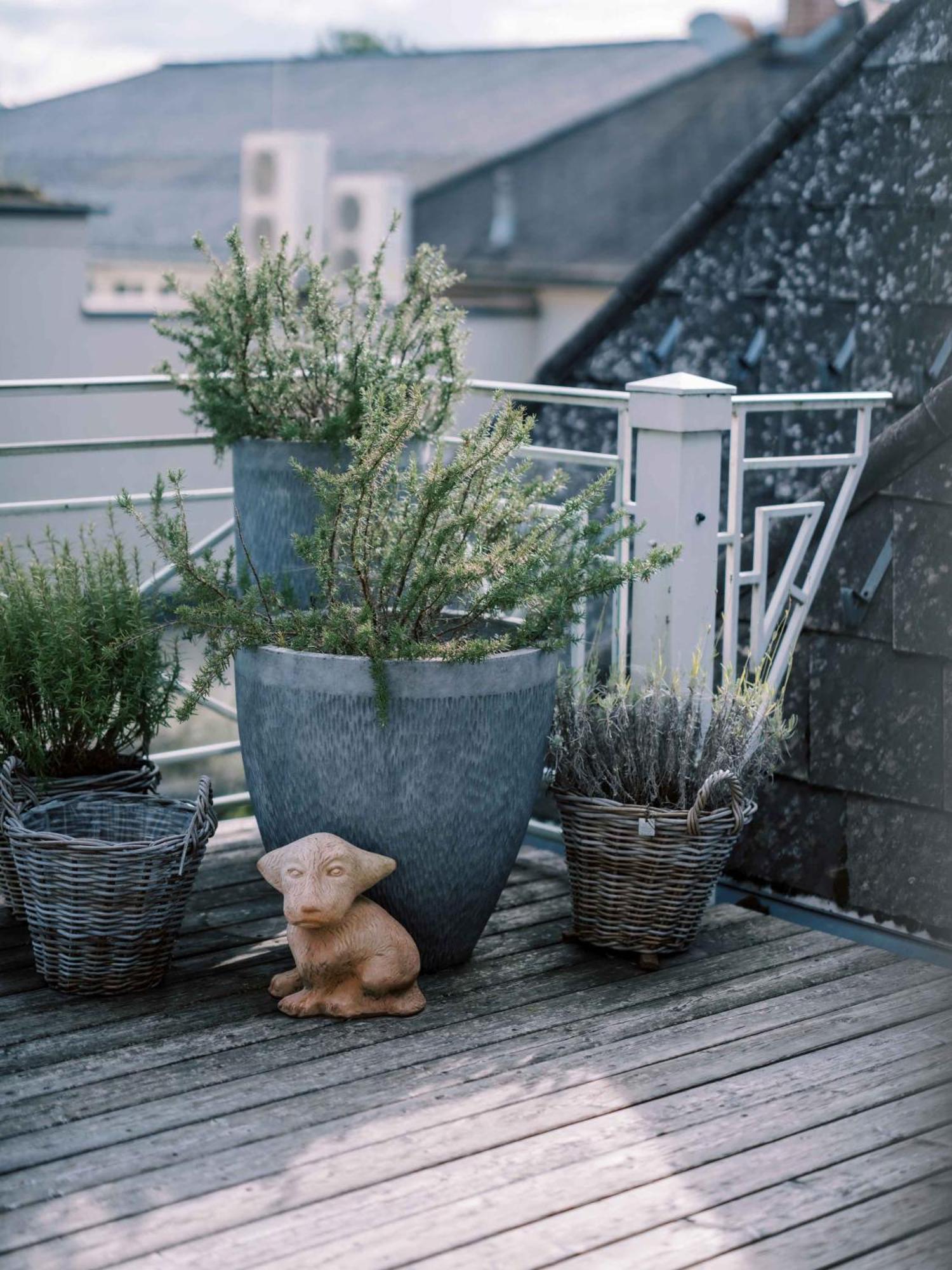 Garten-Hotel Ochensberger Sankt Ruprecht an der Raab Exteriér fotografie